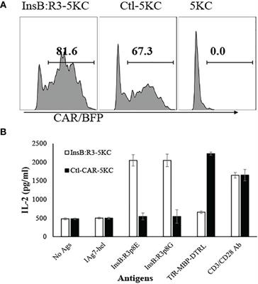 Regulatory T cells targeting a pathogenic MHC class II: Insulin peptide epitope postpone spontaneous autoimmune diabetes